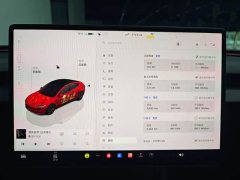 Tesla Model 3 2023 Long Range All-Wheel Drive - ფოტო 6