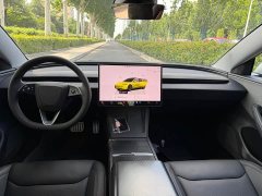 Tesla Model 3 Rear-Wheel Drive - ფოტო 7