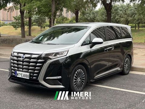 2024 Denza BYD Denza D9 DM-i 980 Four-Wheel Drive Flagship - ავტომობილი ჩინეთიდან
