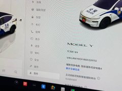 Tesla Model Y Rear-Wheel Drive - ფოტო 11