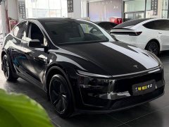 Tesla Model Y Rear-Wheel Drive - ფოტო 3