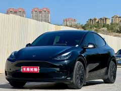 Tesla Model Y 2022 Rear-Wheel Drive - ფოტო 1