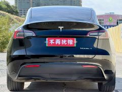 Tesla Model Y 2022 Rear-Wheel Drive - ფოტო 8