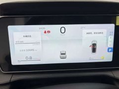 Geely Binrui COOL 1.5T DCT Dragon Ascend Edition - ფოტო 11