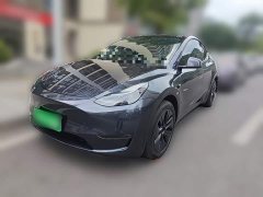 Tesla Model Y Long Range All-Wheel Drive - ფოტო 1