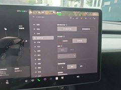 Tesla Model Y Long Range All-Wheel Drive - ფოტო 20