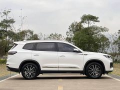 Chery Tiggo 8 PLUS 290TGDI DCT Passion Edition - фото 6