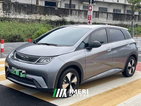 2024 BYD Dolphin Glory Edition 420km Freedom Version - ავტომობილი ჩინეთიდან