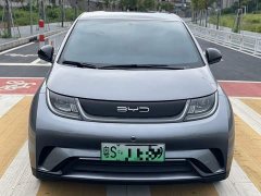 BYD Dolphin Glory Edition 420km Freedom Version - ფოტო 11
