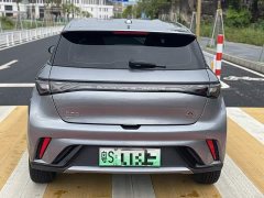 BYD Dolphin Glory Edition 420km Freedom Version - ფოტო 13