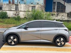 BYD Dolphin Glory Edition 420km Freedom Version - ფოტო 14
