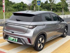 BYD Dolphin Glory Edition 420km Freedom Version - ფოტო 3