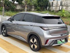 BYD Dolphin Glory Edition 420km Freedom Version - ფოტო 4