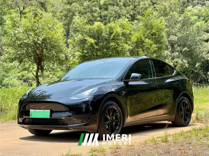 Tesla Model Y Rear-Wheel Drive