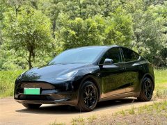 Tesla Model Y Rear-Wheel Drive - photo 1