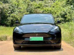 Tesla Model Y Rear-Wheel Drive - photo 2