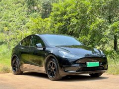 Tesla Model Y Rear-Wheel Drive - photo 3