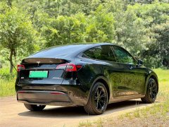 Tesla Model Y Rear-Wheel Drive - photo 6