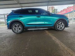 Haval Chitu Jingxiang Edition 1.5T Purple Copper Rabbit - ფოტო 11