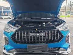 Haval Chitu Jingxiang Edition 1.5T Purple Copper Rabbit - ფოტო 4