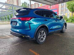 Haval Chitu Jingxiang Edition 1.5T Purple Copper Rabbit - ფოტო 8