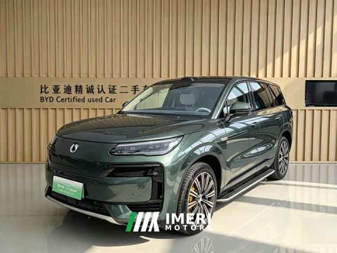 2025 Denza BYD Denza N9 Flagship - ავტომობილი ჩინეთიდან