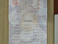 Denza BYD Denza N9 Flagship - ფოტო 16