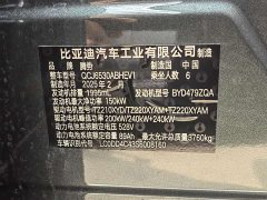 Denza BYD Denza N9 Flagship - ფოტო 2