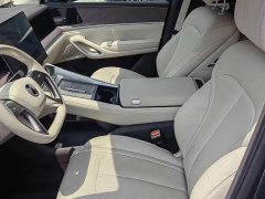 Denza BYD Denza N9 Flagship - ფოტო 7