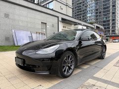 Tesla Model 3 Standard Range RWD Upgrade - ფოტო 1