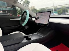 Tesla Model 3 Standard Range RWD Upgrade - ფოტო 10