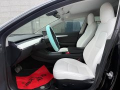 Tesla Model 3 Standard Range RWD Upgrade - ფოტო 4
