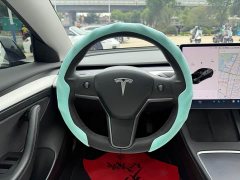 Tesla Model 3 Standard Range RWD Upgrade - ფოტო 7