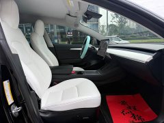 Tesla Model 3 Standard Range RWD Upgrade - ფოტო 9