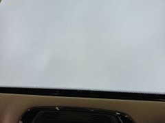 BMW 3 Series 320Li M Sport Package - ფოტო 14