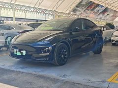 Tesla Model Y Long Range All-Wheel Drive - ფოტო 1