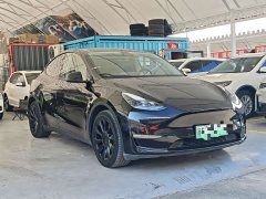 Tesla Model Y Long Range All-Wheel Drive - ფოტო 3