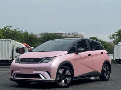 BYD Dolphin 401km Knight Edition - ფოტო 1