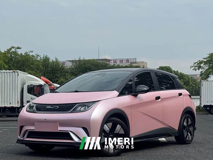 BYD Dolphin 401km Knight Edition