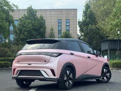 BYD Dolphin 401km Knight Edition - ფოტო 11