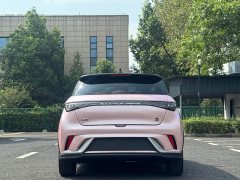 BYD Dolphin 401km Knight Edition - ფოტო 12