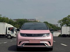 BYD Dolphin 401km Knight Edition - ფოტო 2