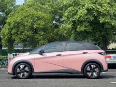 BYD Dolphin 401km Knight Edition - ფოტო 3
