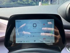 BYD Dolphin 401km Knight Edition - ფოტო 5