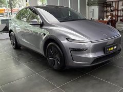 Tesla Model Y Rear-Wheel Drive - ფოტო 3