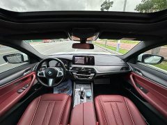 BMW 5 Series Facelift 530Li Premier M Sport Package - ფოტო 5