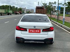 BMW 5 Series Facelift 530Li Premier M Sport Package - ფოტო 8