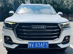 Haval H6 2021 National Trend Edition 1.5T Automatic Urban Version - ფოტო 2
