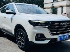 Haval H6 2021 National Trend Edition 1.5T Automatic Urban Version - ფოტო 3