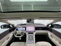 Denza BYD Denza N9 Flagship - ფოტო 5